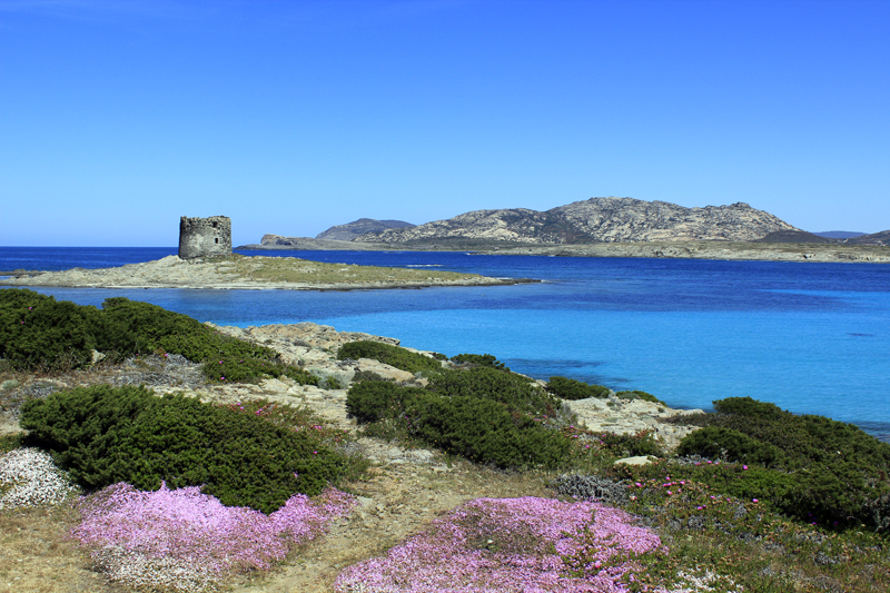 2016-04-29_124524 sardinien-2016.jpg - Spaggia di Pelosa